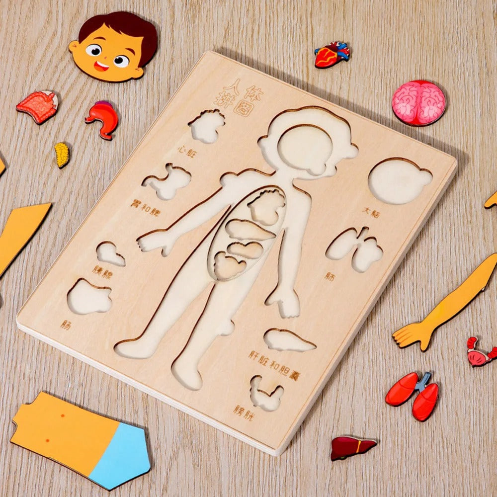 Kids Wooden Montessori Human Body Puzzle - Educational Toy for Preschool & Kindergarten Learning Activities