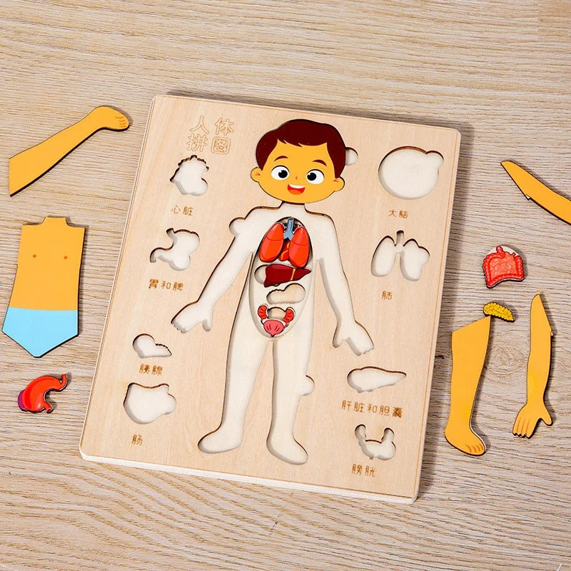 Kids Wooden Montessori Human Body Puzzle - Educational Toy for Preschool & Kindergarten Learning Activities