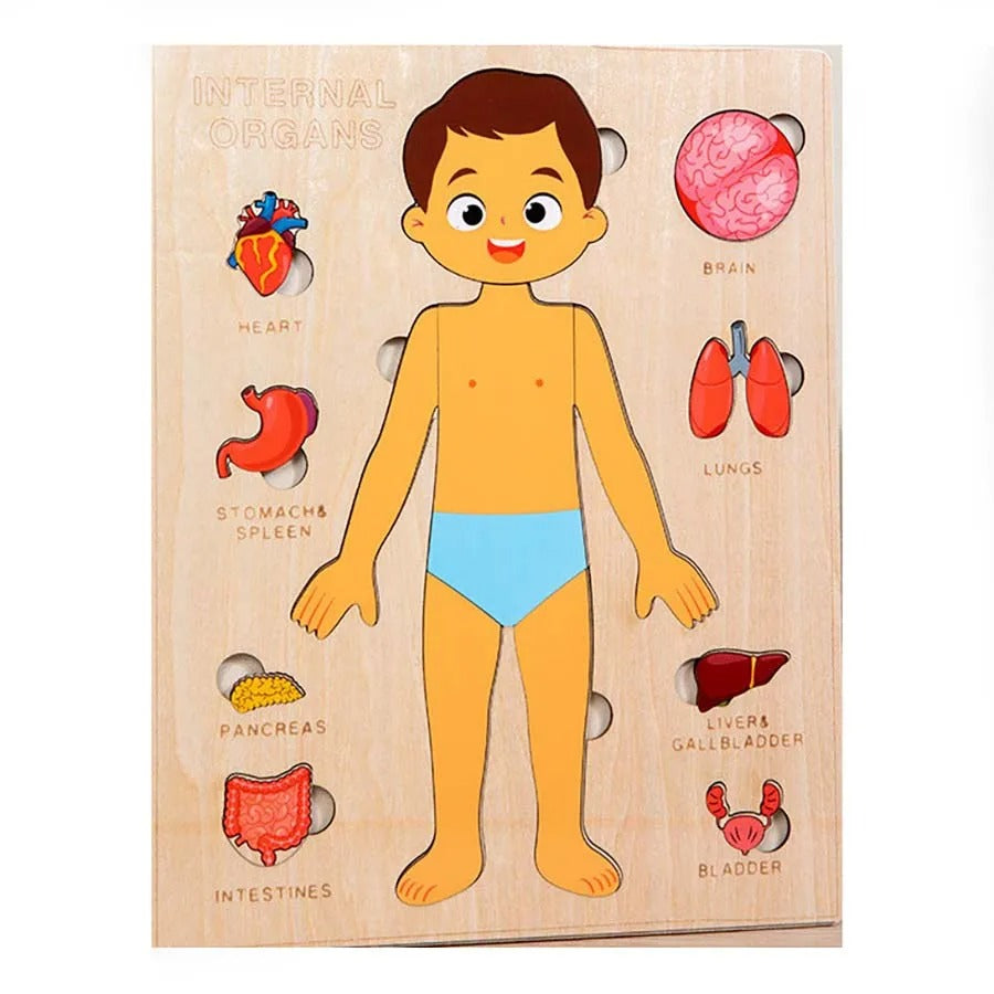 Kids Wooden Montessori Human Body Puzzle - Educational Toy for Preschool & Kindergarten Learning Activities