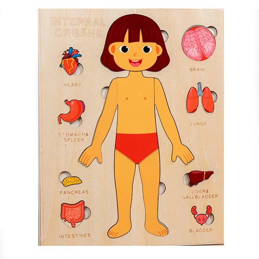 Kids Wooden Montessori Human Body Puzzle - Educational Toy for Preschool & Kindergarten Learning Activities